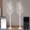 Smart Birch Tree with LED Lights 2 Pack 6 FT