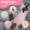 Viiotu Cat Recovery Suit Female, Kitten Onesie for Cats After