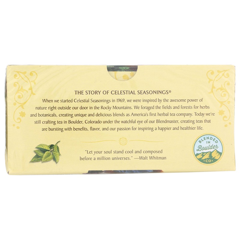 Celestial Seasonings Tea Sleepy time Mint 20 Bag, 20 ct