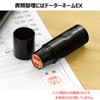Shachihata XGL-15M Stamp Stamp for Data Name EX15 Master Reception