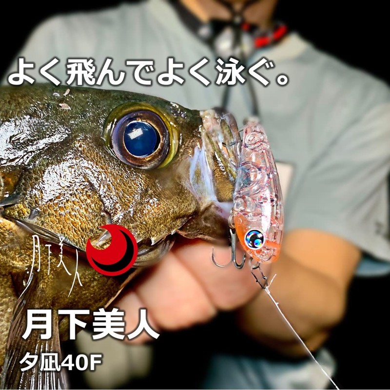 DAIWA Meberling/Ajing, Tsukishita Bijin, Yunagi 40F Drift, Clear