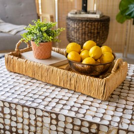 happimess TRY1002A Anika 22.5" Traditional Southwestern Hand-Woven Abaca Tray with Handles for Storage,Decoration, Display, Coffee Table or Serving Food, Natural