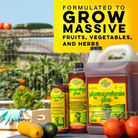 Microbe Life Hydroponics Premium Photosynthesis Plus to Grow Fruits, Vegetables, and Herbs, The Best Professional Big Bud Grow, Use with Any Feeding Systems Including Hydroponics or Soil, 32 Ounces