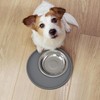 Arespark Pet Silicone Food Mat 2PCS, Nonslip Waterproof Feeding Bowl