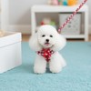 EXPAWLORER Cute Dog Harness Collar Leash Set - Red Girl