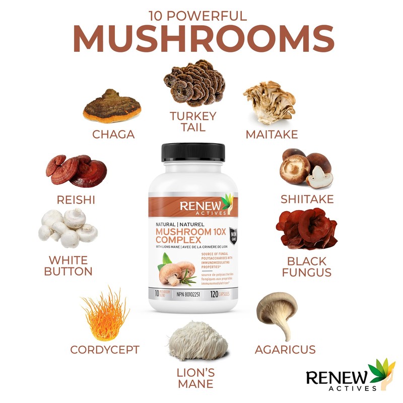 Renew Actives RENEW ACTIVES Mushroom Complex 2 Capsules per Serving
