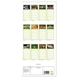 Familienplaner 2025 - Mopswelpen mit 5 Spalten (Wandkalender, 21 cm x 45 cm), CALVENDO