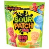 Mondelez International SOUR PATCH KIDS Big Kids Soft & Chewy