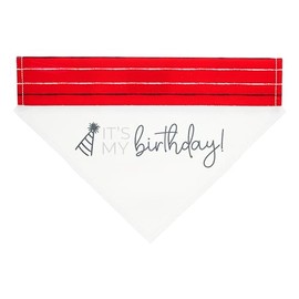 Pavilion - It's My Birthday! - Canvas Medium/Large Dog Over The Collar Striped Party Hat Bandana Attachment Puppy Doggy K9 Rescue Adoptive Dog Pet Accessories Embellishment