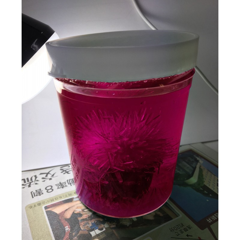 Wonder In Water One Day Crystal Cactus Grow Magic Cactus