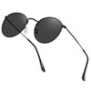 aisswzber Small Round Polarized Sunglasses 3447p-Matt Black