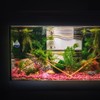 MiOYOOW CO2 Drop Checker, Aquarium CO2 Monitor CO2 Detector without