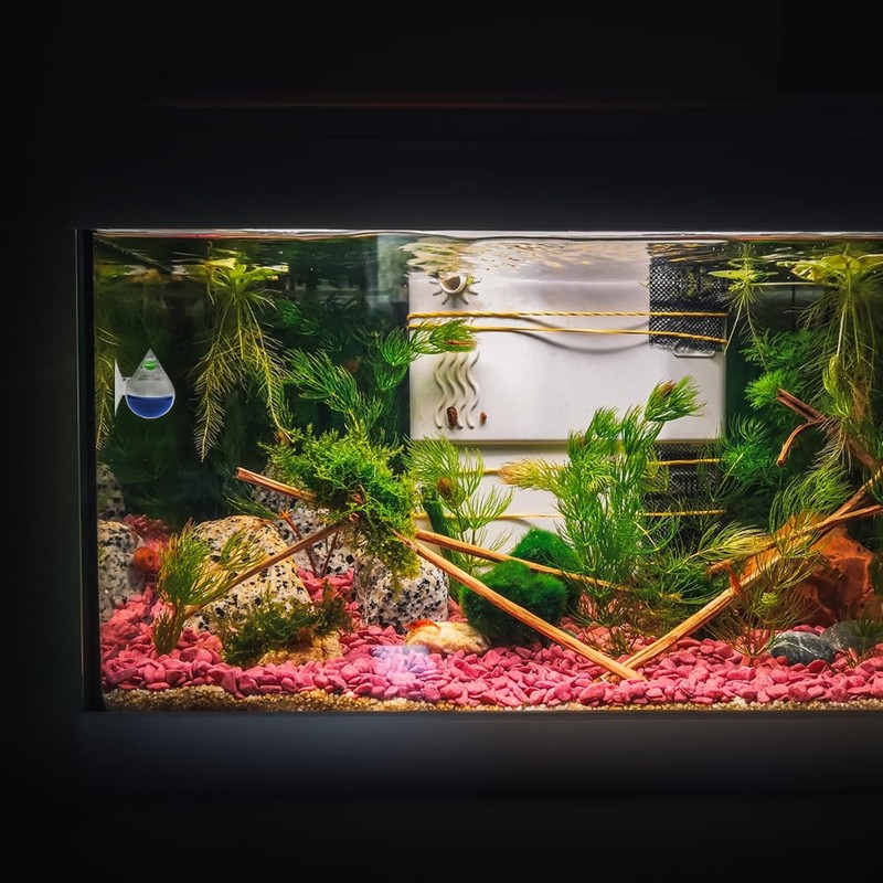 MiOYOOW CO2 Drop Checker, Aquarium CO2 Monitor CO2 Detector without
