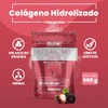Colágeno Hidrolizado con Mangostán - Extracto en Polvo 500 gr