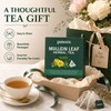 Mullein Leaf Herbal Tea for Adults – Organic-Inspired Loose Leaf