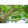 Trelines 7' Wooden Climbing Rope Ladder - The Ultimate Kids'