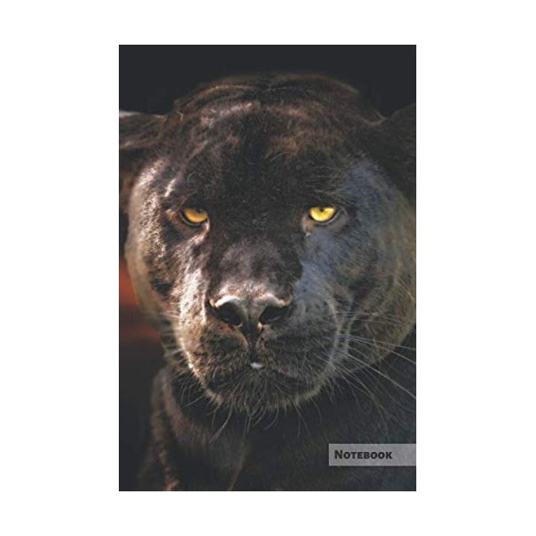 Jaguar Notebook: Unique Black Panther Jaguar Journal, Notebook for animal