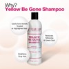 STAR CARE Yellow Be Gone Shampoo & Conditioner Set 4oz