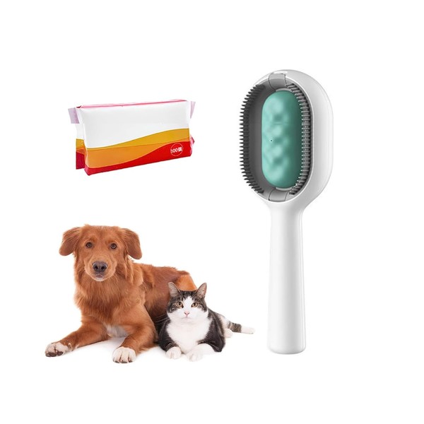 Pet Brush with Water Tank, Dog, Cat Brush, Hair Loss, Paper Towels, Pack of 100, Short Hair, Long Hair, Comb (Long Hair, Mint)
