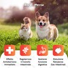 DiarBlock Rapid Antidiarroico ad azione immediata per cani e gatti.