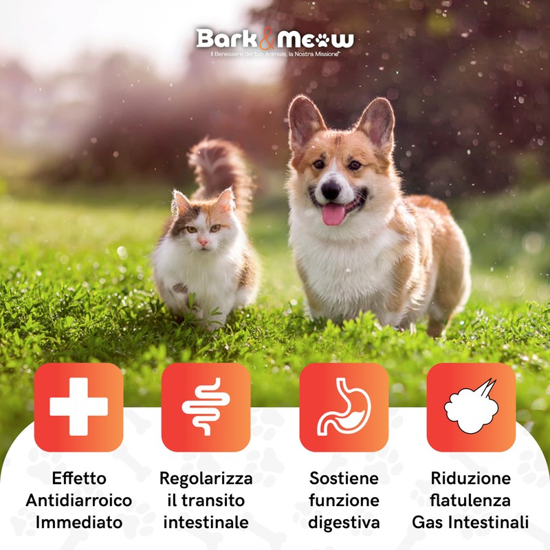 DiarBlock Rapid Antidiarroico ad azione immediata per cani e gatti.