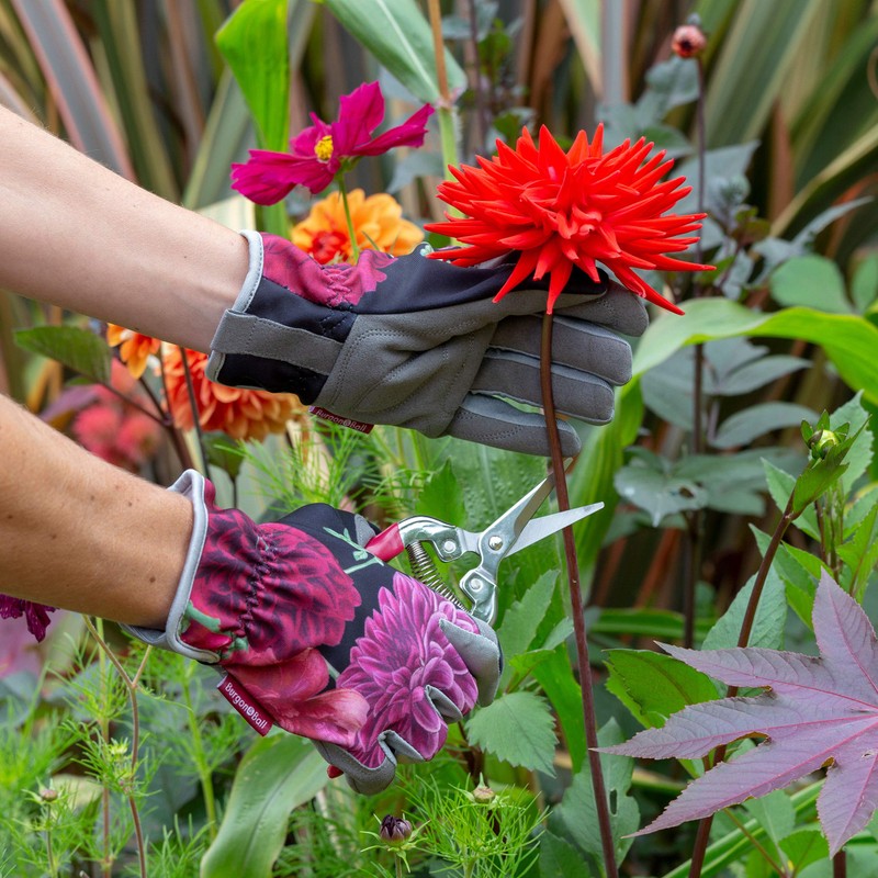 Burgon & Ball RHS British Bloom Ladies Gardening Gloves, Medium/Large