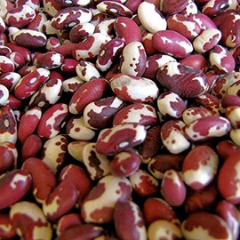 Palm Beach Medicinal Herbs - Red Anasazi Bean - Packet of 20 Seeds