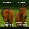 Freestep Free-Itch – Natural Sweet Itch Supplement for Horses |