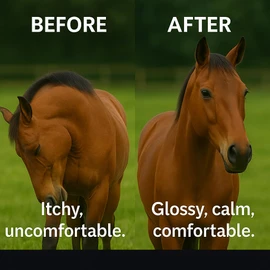 Freestep Free-Itch – Natural Sweet Itch Supplement for Horses | Relieves Itchy Skin, Seasonal Allergies & Coat Irritations | With Burdock Root, Chamomile & Bromelain