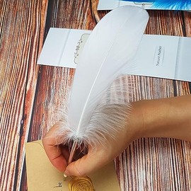 Bolgrafo de pluma de tinta negra, pluma de plumas clsico, refinada, chapado en barra, bolgrafo para escritura escolar, bolgrafo de regalo de boda...  
