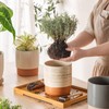 Chubacoo Self Watering Plant Pot: 6 Inch Ceramic Planter with