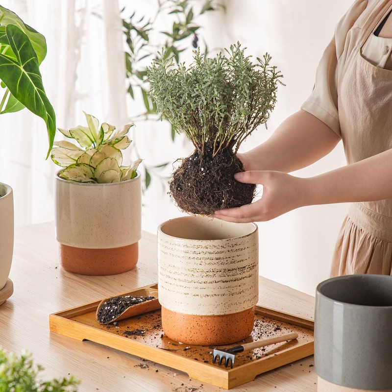 Chubacoo Self Watering Plant Pot: 6 Inch Ceramic Planter with