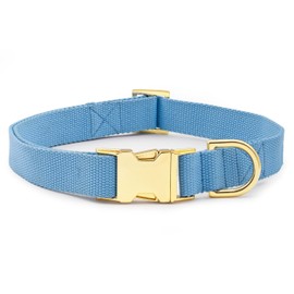 Bark Duke Indestructible Dog Collar, Fully Customizable Fit, Waterproof Nylon, Odor-Resistant, Metal Buckle and Adjusters (Sky Blue, Medium, 1”)