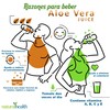 Jugo Concentrado de Aloe Vera sabor Naranja Papaya, Frasco de