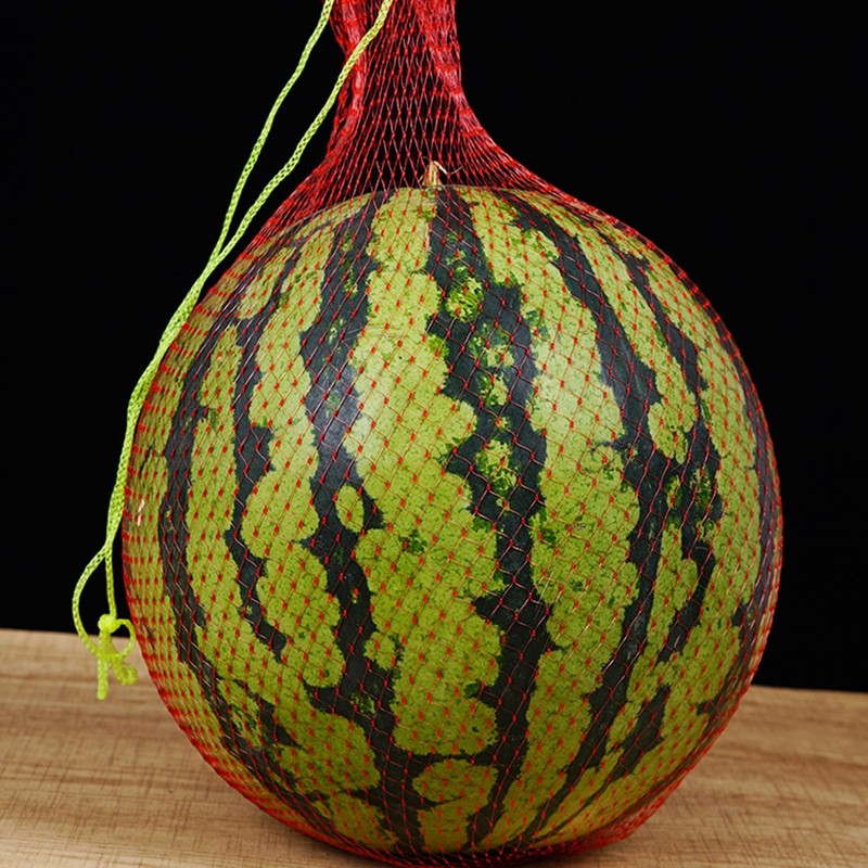 Honeydew Melon Hammock for Trellis, Pack of 100 45 cm