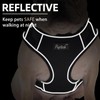 PUPTECK Small Dog Harness and Leash Set, No Pull Adjustable