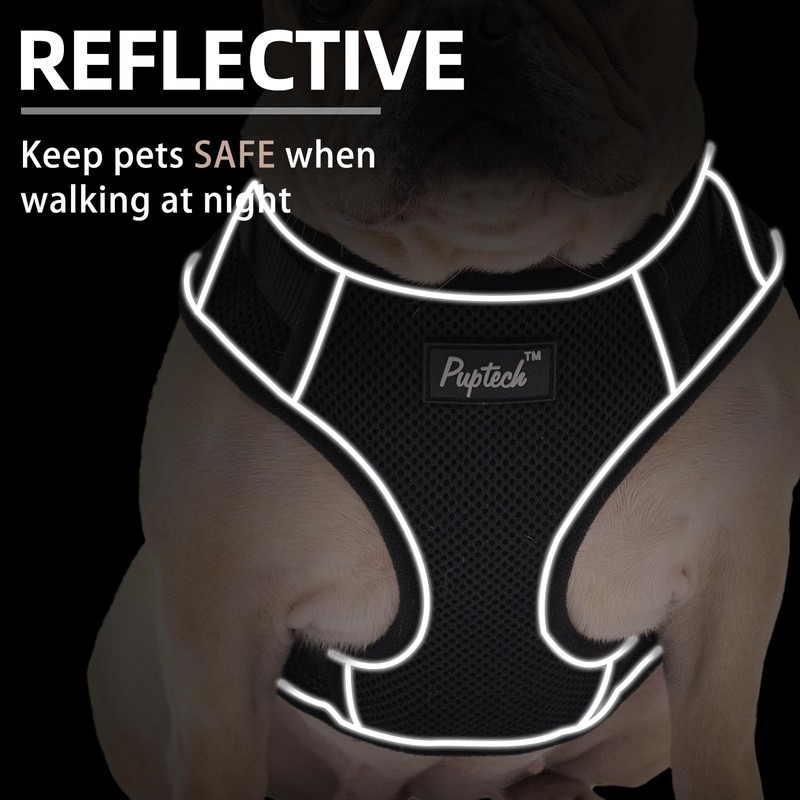 PUPTECK Small Dog Harness and Leash Set, No Pull Adjustable