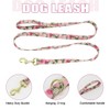 Beirui Cute Girl Dog Collars, Harnesses & Leashes Set -