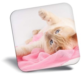 Destination Vinyl ltd Fridge Magnet - Cute Playful Cat Kitten Animal Pet for Office, Cabinet and Whiteboard, Magnetic Stickers, 44803