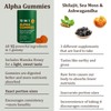 10 in 1 Alpha Gummies, 4000mg Himalayan Alpha Shilajit Gummies