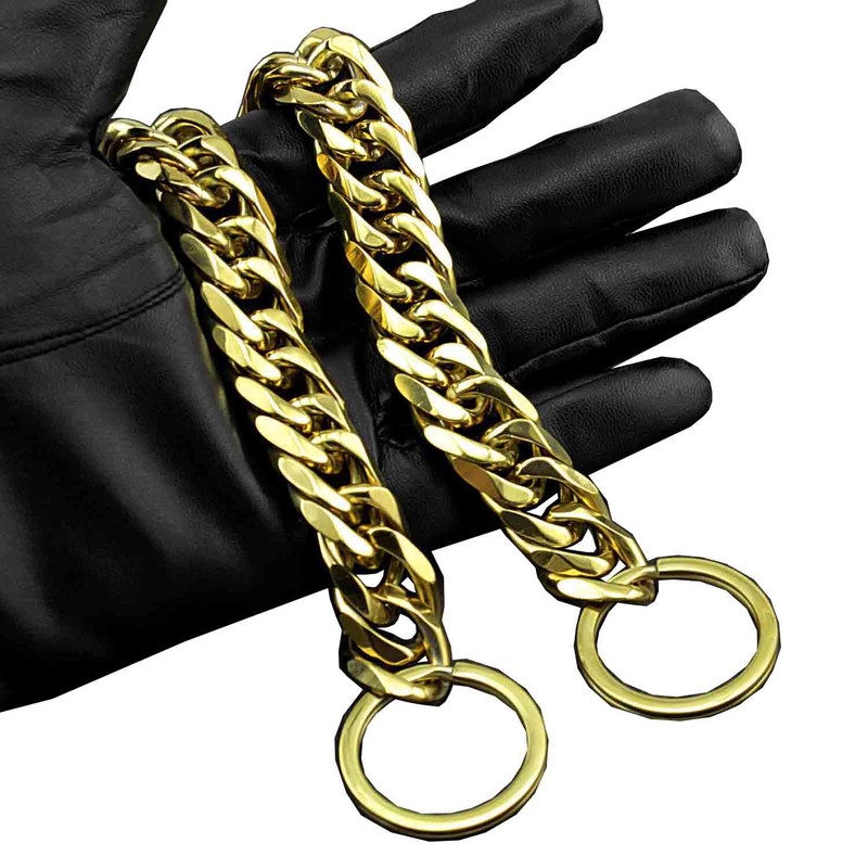 Gargantilla grande de acero inoxidable para mascota, 18 mm, Dorado,