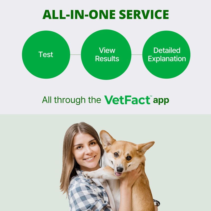 [5Kits] Free Mobile App 10 Parameter Urine Test Strips for