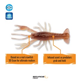 4D Craw 3" & 4" 6pcs| Ultra Realistic Look