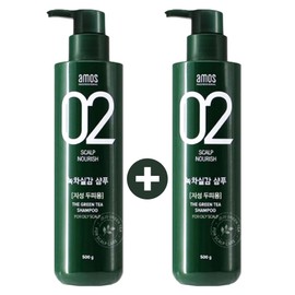 Amos 1+1 Amos Green Tea Real Oily Shampoo 500g / 1+1 아모스 녹차실감 지성샴푸 500g