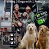 PaiPaitek Vibrating Collar No Shock for 3 Dogs Training, 3300ft