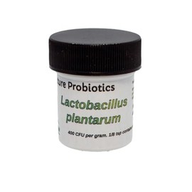 Pure Culture Probiotics (Lactobacillus plantarum) 10 g