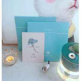 Yumeno Silk Pillowcase 100% Silk, Double-sided Type, 16.9 x 24.8 inches (43 x 63 cm), Includes Dried Flowers, Washable, 19 Momme, 1 Piece, 6A Grade Silk Pillow Case, Winter, Warm, Envelope Type,