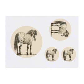 4 x 'Dapple Cob Horse Standing' Temporary Tattoos - Water Resistant, Skin-Safe, Non-Toxic Transfers, Mixed Sizes (TO00084458)