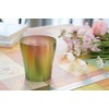 HORIE T15HI250 Tsubame Niigata Titanium Double Wall Tumbler, 8.5 fl