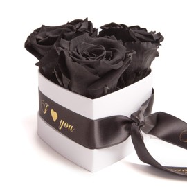 ROSEMARIE SCHULZ Heidelberg Infinity Rose Box Heart - 10 x 12 cm 3 Preserved Black Roses Durable 3 Years Women - Valentine's Day Gift Box for Her (I Love You, Black)